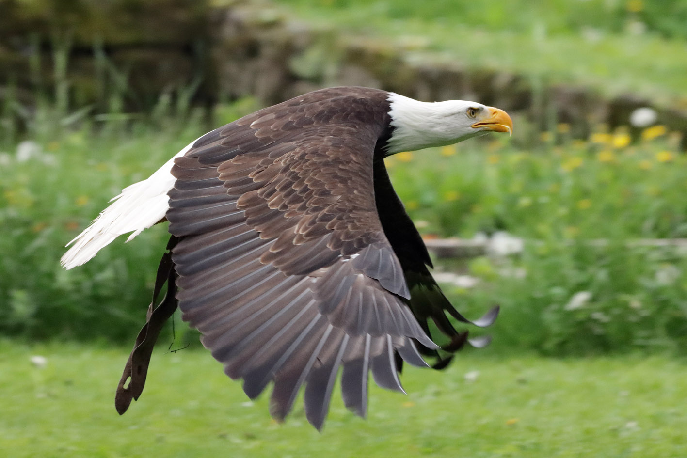 Hinter die Kulissen spitzen – Erlebnis